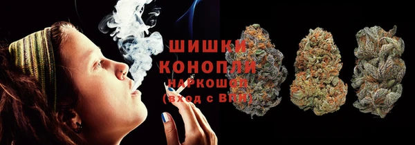 спиды Алзамай