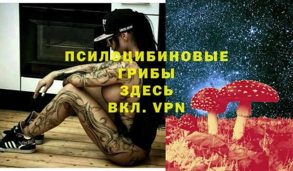 эйфоретик Алексин