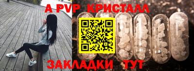 гидра Братск