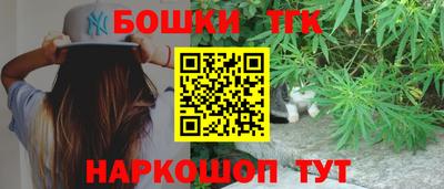 гидра Братск