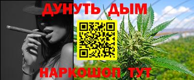 гидра Братск