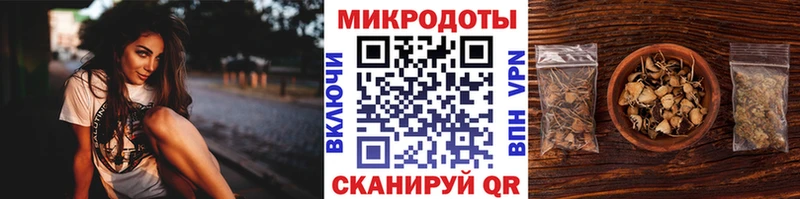 Псилоцибиновые грибы Psilocybe  мега как зайти  Одинцово  хочу наркоту 