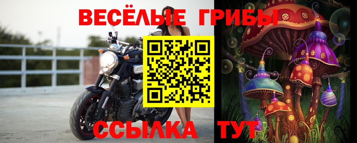 Галлюциногенные грибы Magic Shrooms  Вход с VPN  Одинцово 